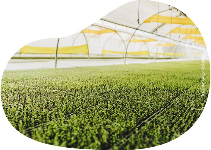tecnología Agrícola